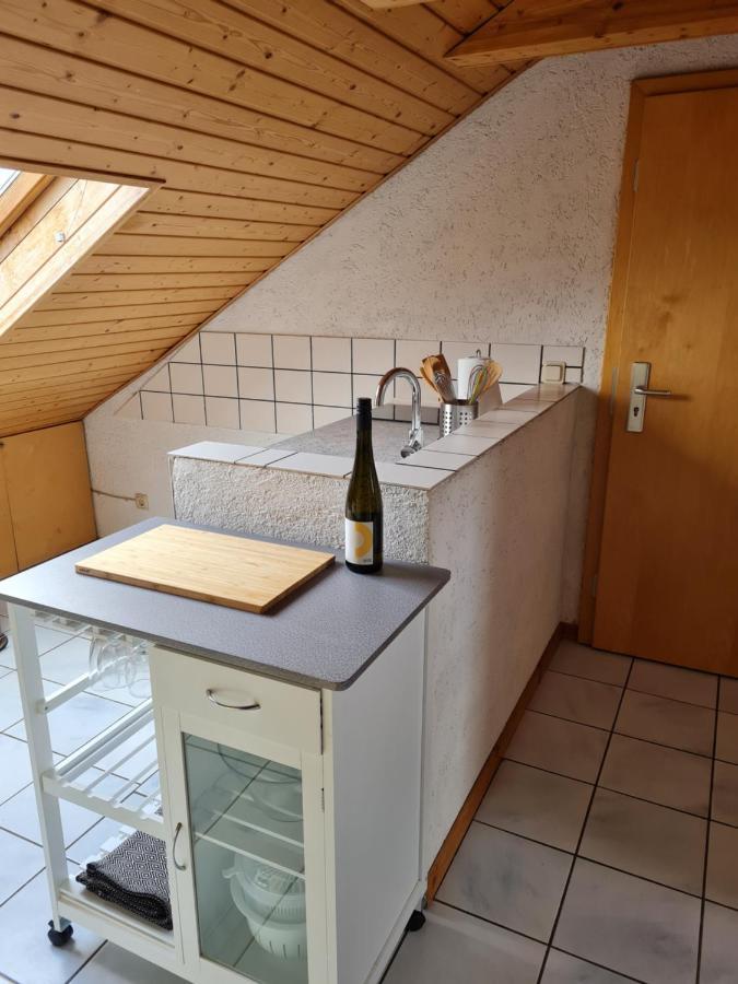 Chagall - Helles Und Gemuetliches Appartement Nahe Der Historischen Altstadt Magonza Esterno foto